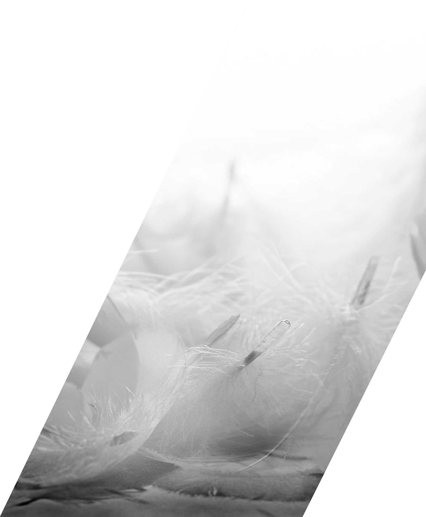 白鸭绒